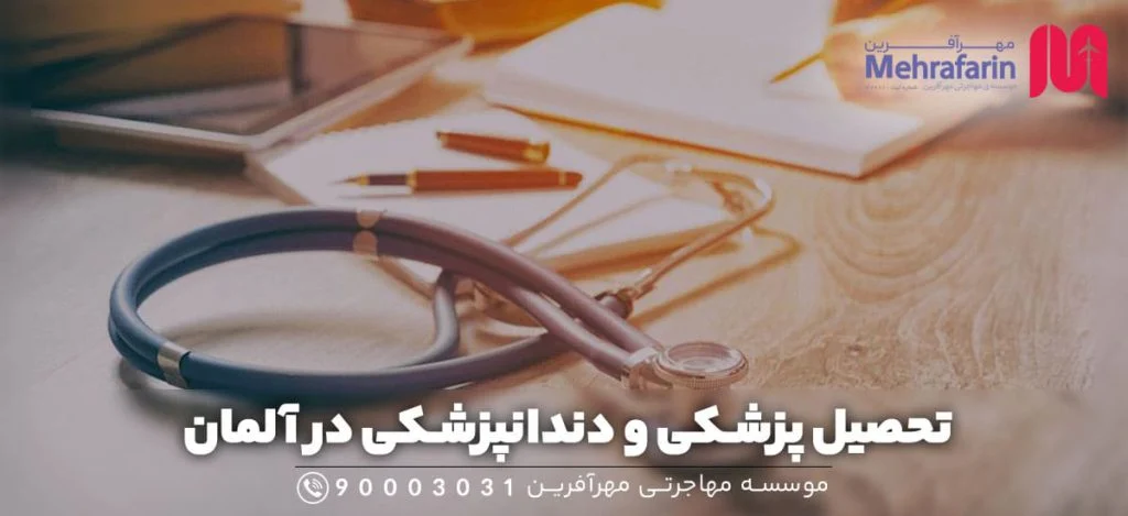 بین الملل