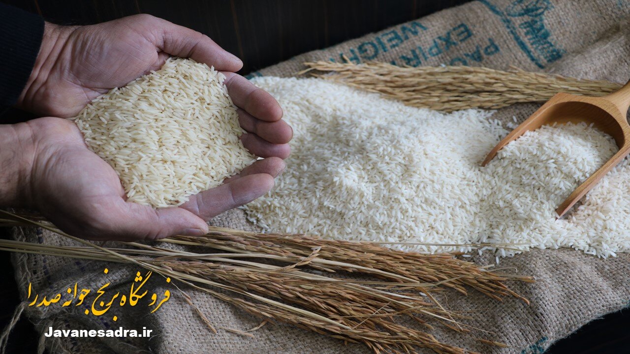برنج طارم چیست؟ همه چیز درباره برنج طارم و انواع آن