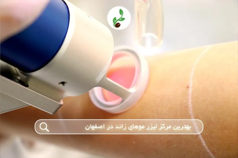 کسب و کار ایرانی
