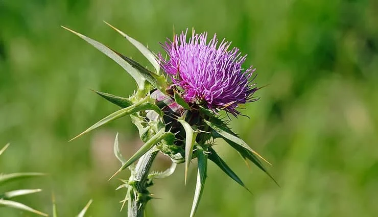 علمی و پزشکی