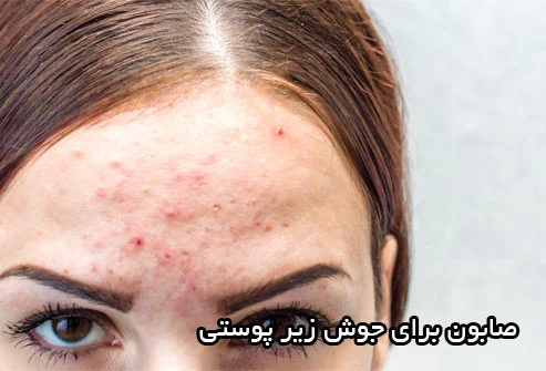 کسب و کار ایرانی
