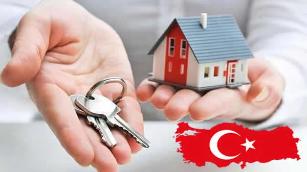 بین الملل