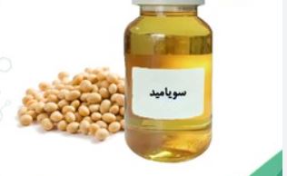 عمومی