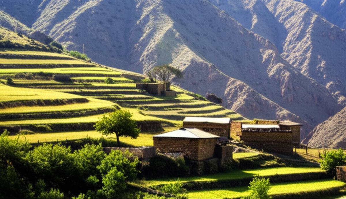 گردشگری